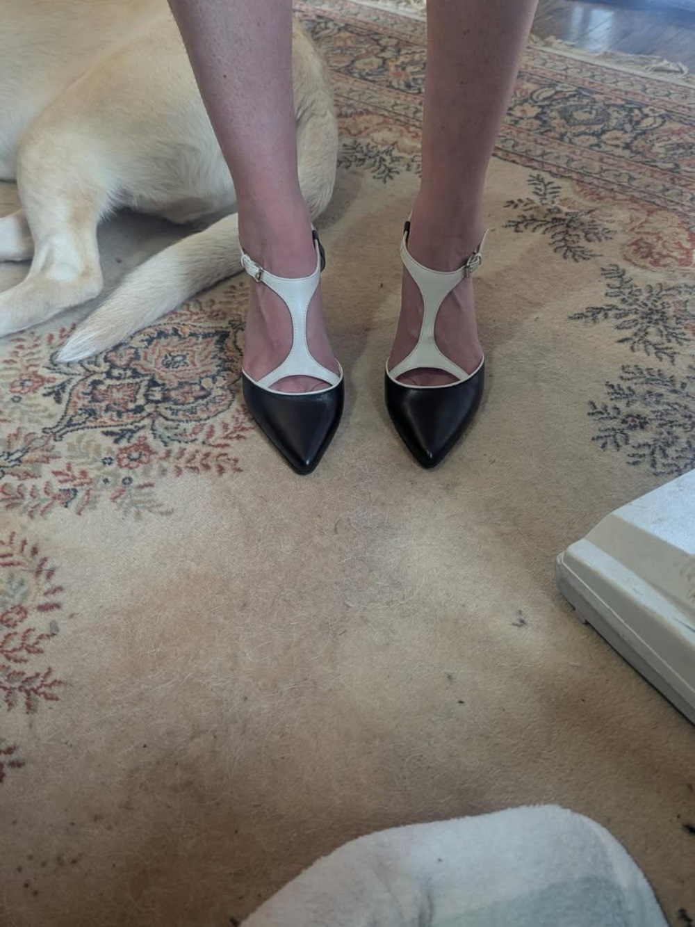 Tahari Black and White Pointed T-Strap Heels